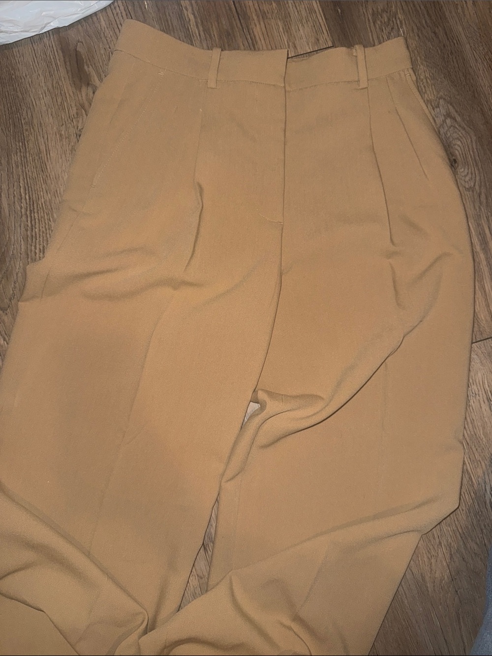 Zara Camel Pleated Women's pants